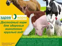 Производство комбикорма