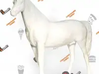 Изготовление фигур из стеклопластика от студии объемной рекламы Reklam.ru