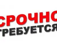 Требуется курьер