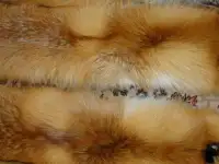 шкурки рыжей лисы