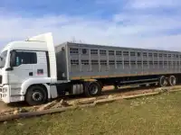 Услуги и аренда скотовозов