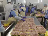 Упаковщикца на птицефабрикувахта Марий Эл