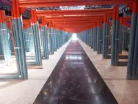 Устройство наливных, полимерных полов и спортивных покрытий.