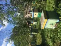 Пчелы, пчелосемьи продажа, фотография 2