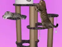 Игровые домики комплексы для кошек.