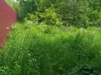 земельный участок д.Ждамирово ГНС под дом или дачу