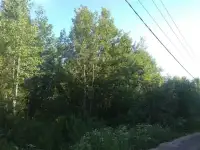 Расчистка участков, фотография 3