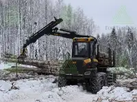 Бревна березовые для выработки лущеного шпона гост, фотография 3