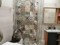 Ремонт ванных комнат и туалетов