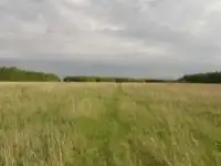 продам участок под застройку поселка, Б.Харлуши 700м на север от церкви, фотография 3