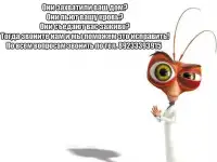 Уничтожение насекомых 