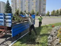 Cад, Благоустройство, фотография 3