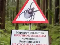 Дезинфекция
