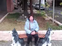 Резюме