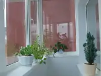 муж на час, фотография 2