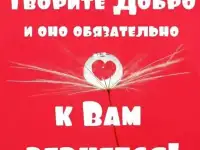 щенки в добрые руки, фотография 6