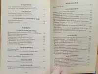800 золотых страниц. Сборник лучших сочинений для школьников и абитуриентов, фотография 6