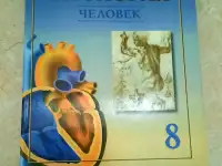 Биология. Человек. 8 класс, Драгомилов, 1997 год