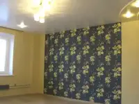Малярные работы,ремонт квартир.