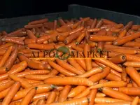Морковь бангор f1 1,6-1,8 (1 000 000 семян) bejo