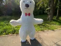Ведущий, ди-джей, певец, Мишка