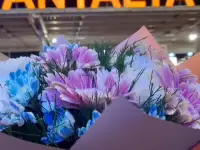 VIP ТРАНСФЕР В  АНТАЛИИ ТУРЦИЯ, фотография 5