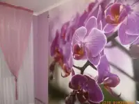 Peмoнт и oтдeлкa квapтиp бeз пocpeдникoв