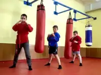 Боевое самбо , ММА , рукопашный бой, фотография 5