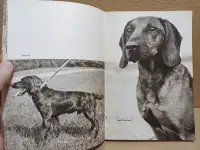 Atlas plemen psu Атлас пород собак 1973 г, фотография 11