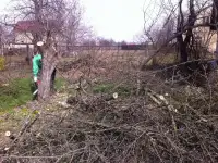 Демонтаж дачи демонтаж сараев вывоз мусора, фотография 2