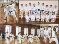 Открыт набор в секцию каратэ Фудокан., фотография 5