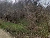 Продам земельный земельный участок, Калинина ул, 13, фотография 3