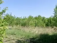 Продам земельный земельный участок