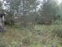 Участок 12соток за Рощино, Ленинградская область