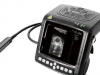 Ветеринарный УЗИ сканер KX5200
