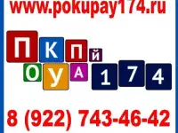 Подарки к Новому Году на сайте PokuPay174