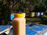 Мёд алтайский с личной пасеки, фотография 2