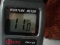 Чага берёзовый гриб., фотография 4