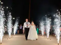 Ведущий на свадьбу, фотография 3