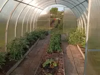Продажа дачи с участком! срочно, Самарская обл., Ставропольский р-н, сельское поселение Нижнее Санчелеево, СНТ Зе