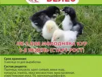 Зерно, комбикорма Чувашские, сено, фотография 10