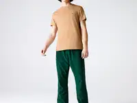 Мужская футболка lacoste regular fit, фотография 2