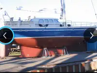 Ищу инвестора для бизнеса в Антарктиде, фотография 5