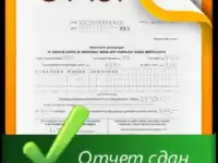 Отчетность 80 рублей