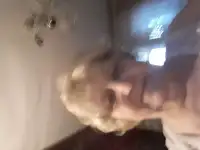 ищу  няню