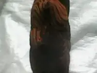 Подушка для отдыха., фотография 2