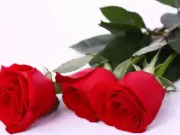 Картины на заказ