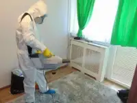 Дезинсекция