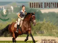 Верховые прогулки, катания на лошадях.