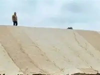 Рулонный газон Биомат, фотография 4